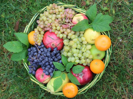 Король фрукт Фруктовая корзина Король фрукт Фруктовая корзина