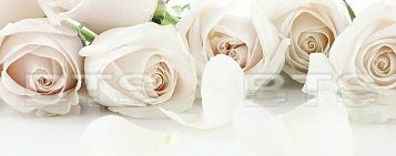 Стеновая панель №8 "Чайная роза"