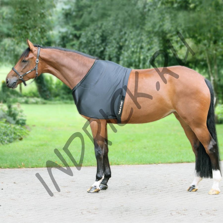 Попона Back on Track на плечи для лошади со вкладышами