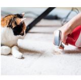 Xanto Whoops Pet Stain 600 мл Средство для удаления запаха