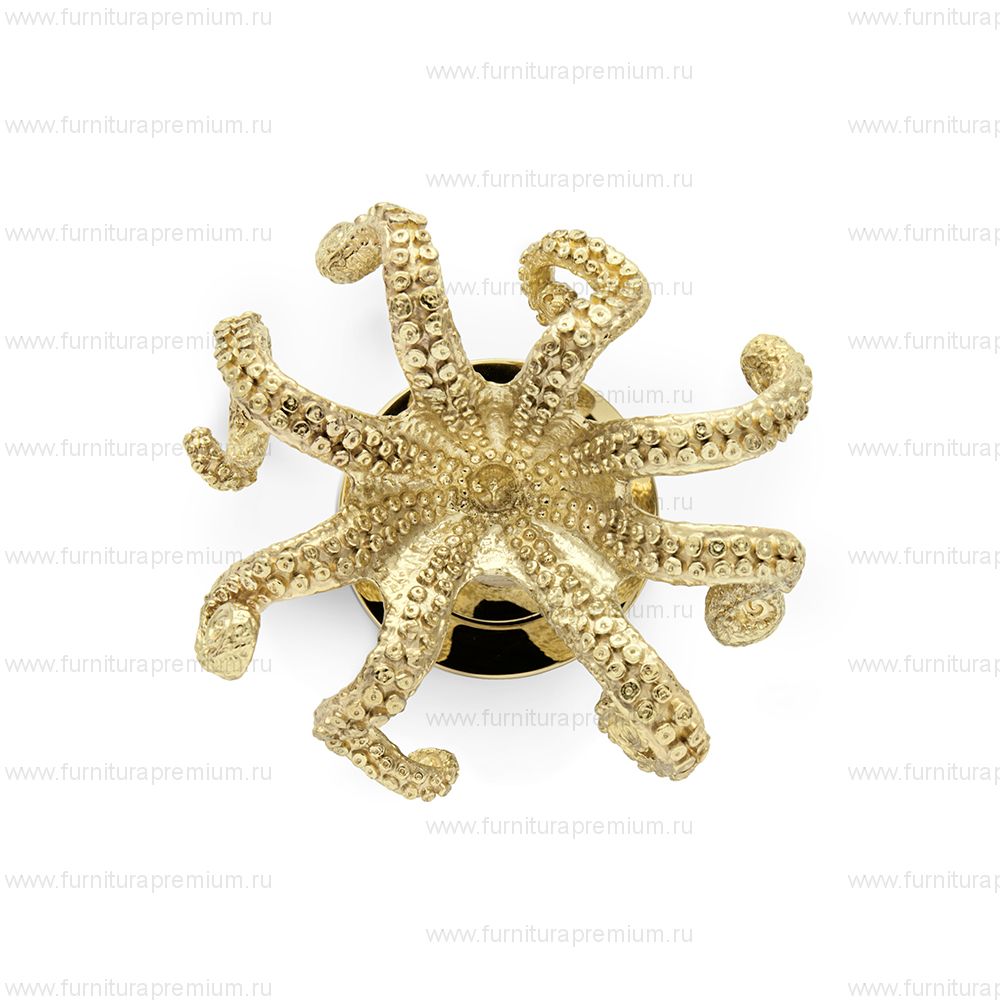 Ручка-кноб PullCast Octo OC2031