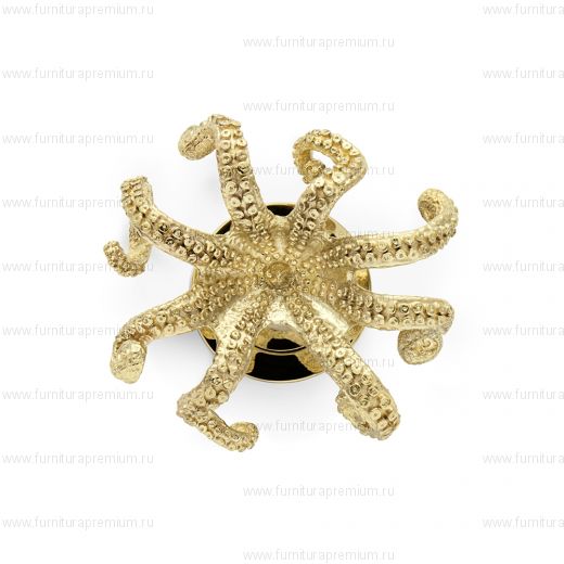 Ручка-кноб PullCast Octo OC2031