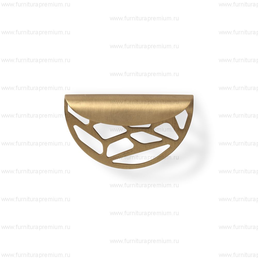 Мебельная ручка-ракушка PullCast Atlas CM3009