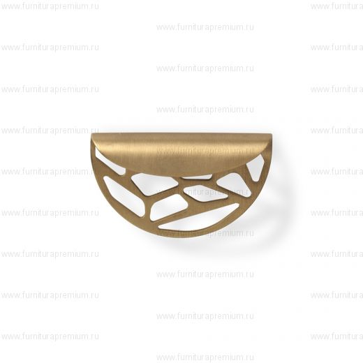 Мебельная ручка-ракушка PullCast Atlas CM3009