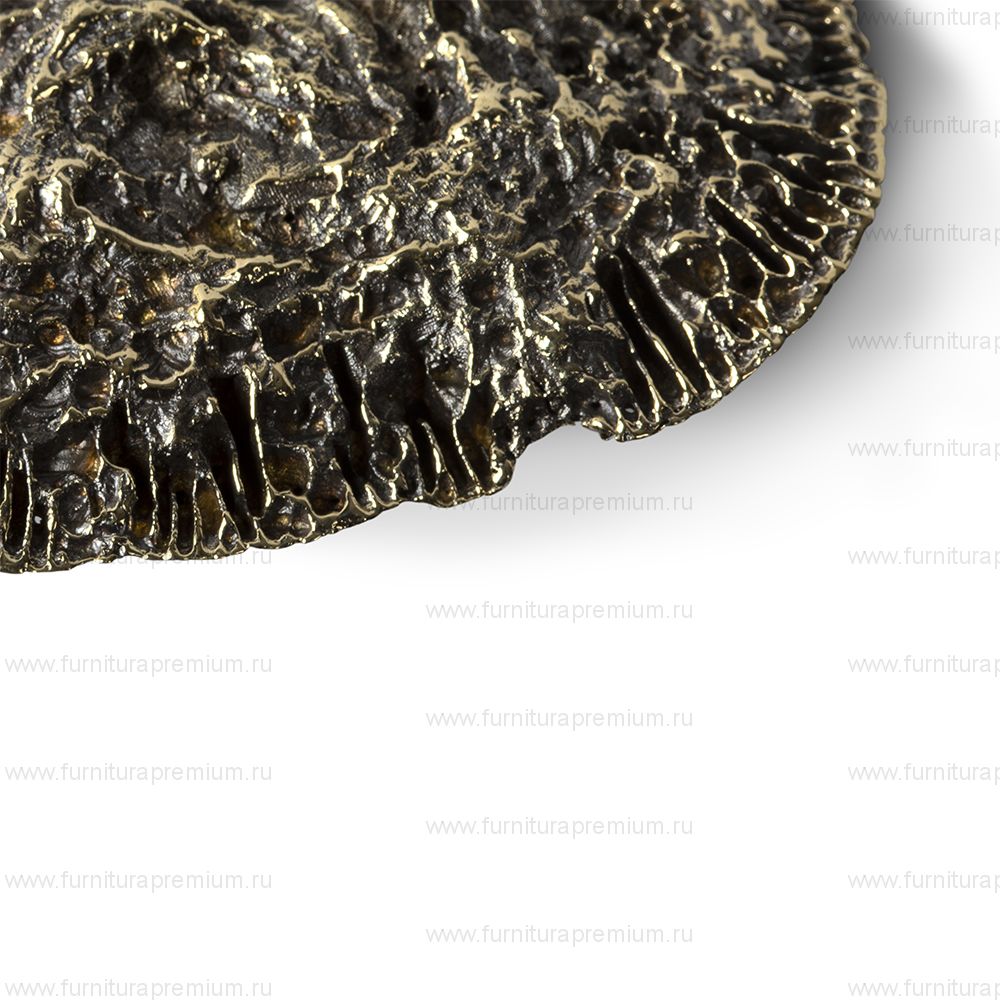 Мебельная ручка-ракушка PullCast Fungi EA1034