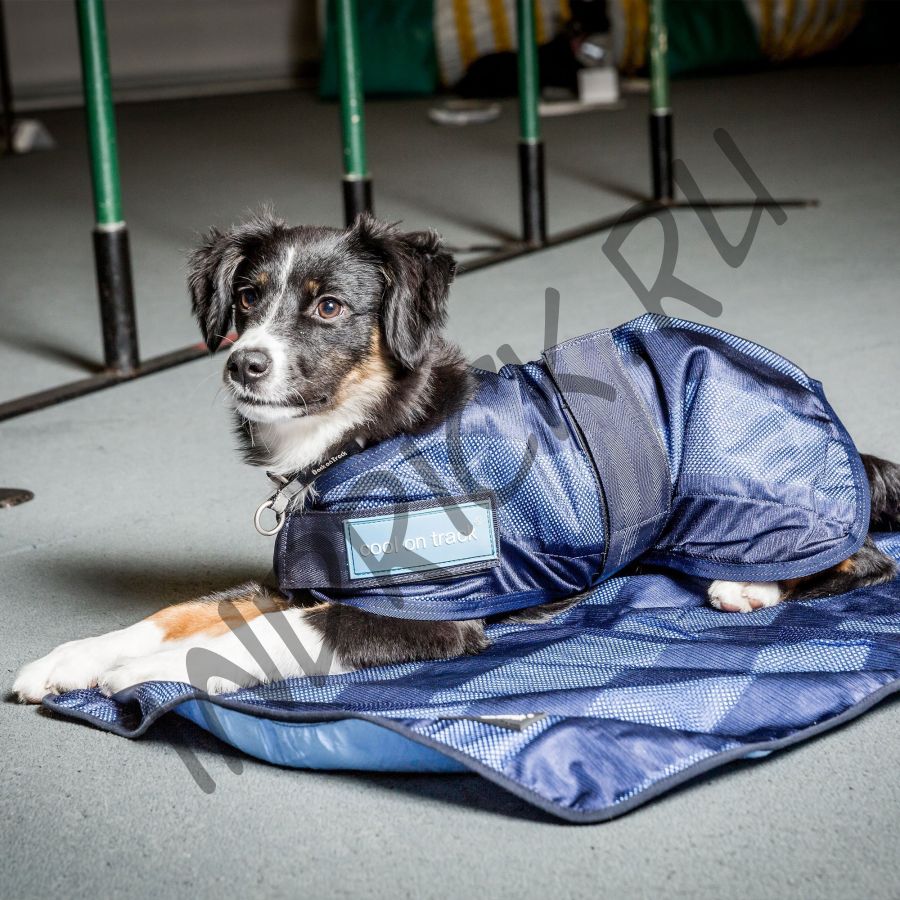 Охлаждающее полотенце Cool on Track Cooling