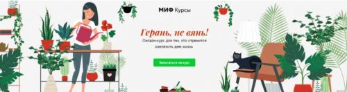 Герань, не вянь! [МИФ Курсы]