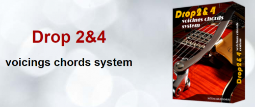 Drop 2&4 voicings chords system (Дмитрий Косинский)