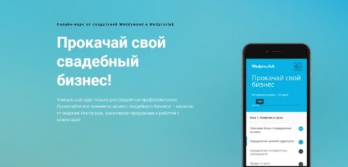 Прокачай свой свадебный бизнес (Веста Матысик)