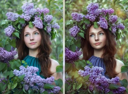 Обработка фотографии. Сирень (Мария Золотова)