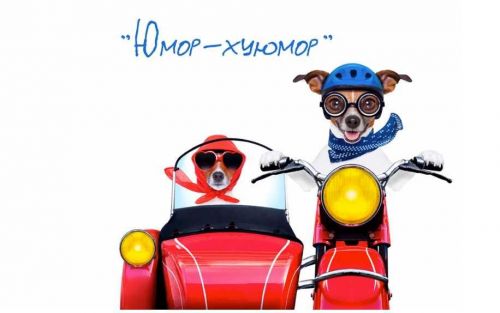 Юмор-хуюмор. Анатомия смешных текстов в соцсетях (Дарья Барретт)