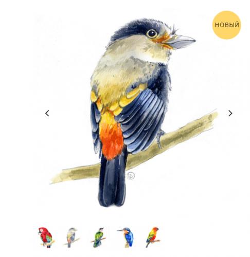 Мини-курс «Птицы» (Любовь Друма)