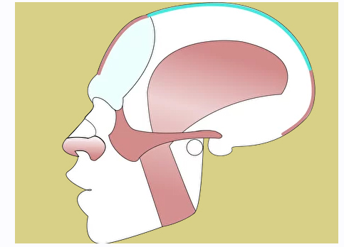 Мимические мышцы. Эмоции (Александр Рыжкин)