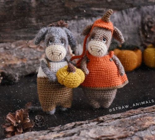 Ослик (Юлия Устименко)