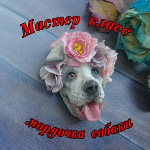 Мастер-класс по мордочке собаки из полимерной глины (sveta_trushagina)