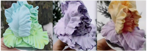 Ирис (Татьяна Забалуева)