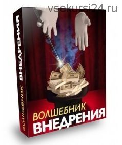 Волшебник внедрения (Павел Берестнев)