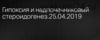 Гипоксия и надпочечниковый стероидогенез (Леонид Ворслов)