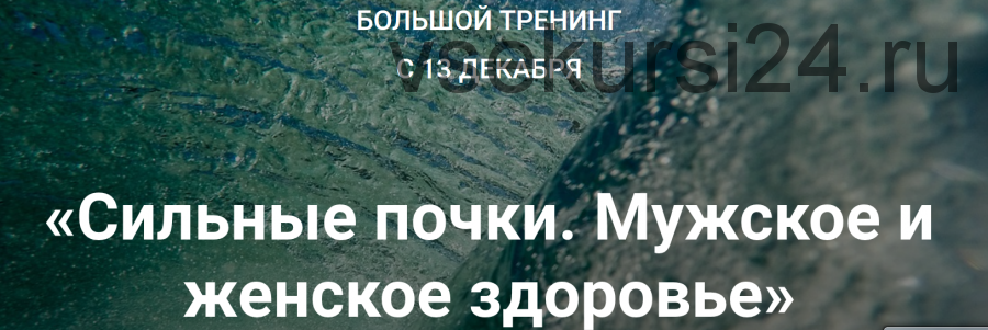 Сильные почки. Мужское и женское здоровье, 2016 (Владимир Осипов)