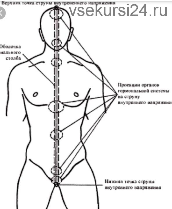 Восстановление энергетики органов и систем, 2014 (Руслан Янгаев)