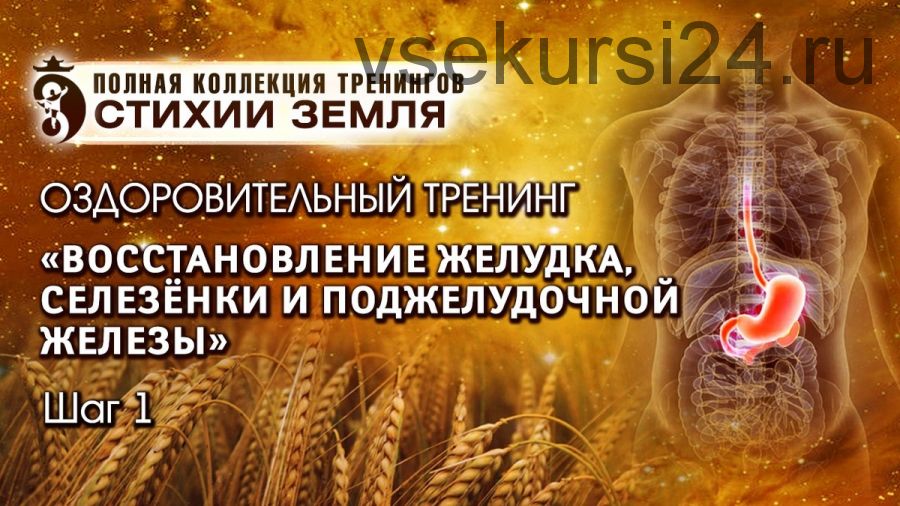 Восстановление желудка, селезенки и поджелудочной железы. Стихия Земля Шаг №1. Вип (Владимир Осипов)