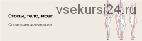 [disintez] Стопы, тело, мозг. От пальцев до макушки