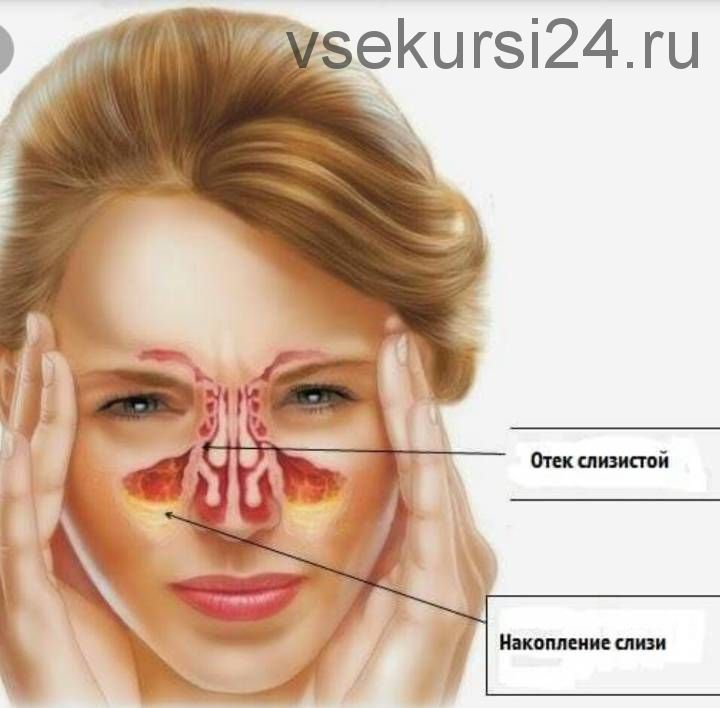 [Интераура] Лечение и профилактика: Ринит, 2016