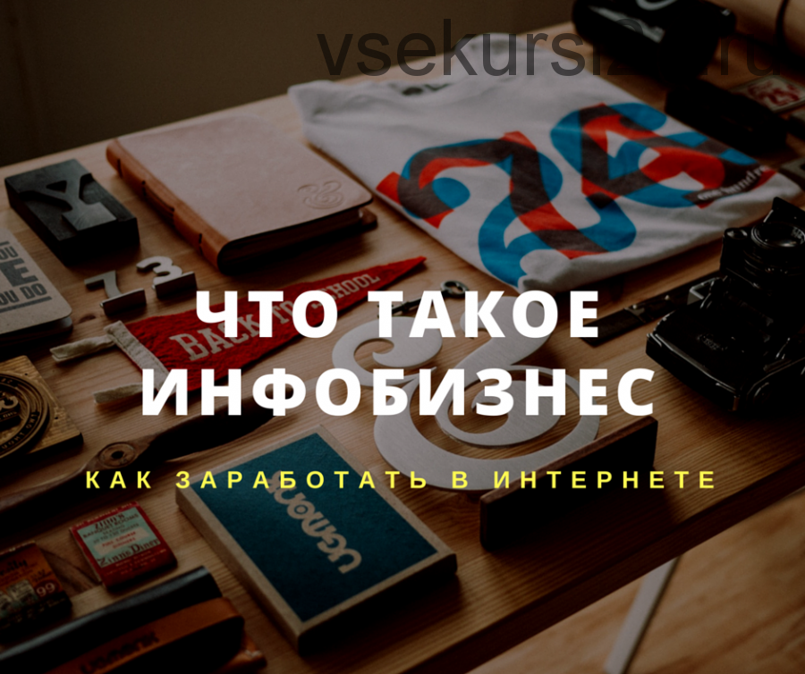 Новая ниша. Инфобизнес-сериал (Юрий Курилов)
