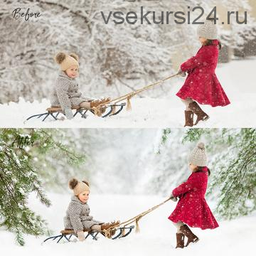 [Editingresources] Нежные зимние пресеты - ACR Winter Wonderland Presets (Lilia Alvarado)