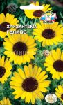 Hrizantema-posevnaya-Gelios-Sedek