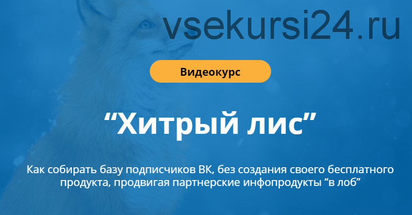 Хитрый лис. Продвижение партнерок ВК (Сергей Копыленко)
