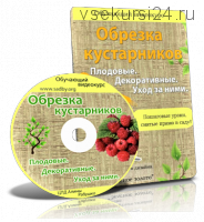 Обрезка кустарников. Плодовые. Декоративные. Уход за ними (Николай Рабушко)