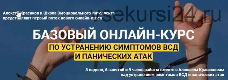 Базовый курс по устранению симптомов ВСД и панических атак (Алексей Красиков)