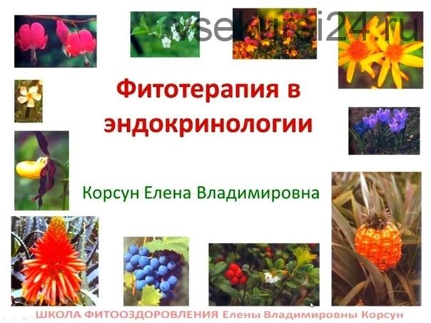 Фитооздоровление при эндокринных заболеваниях (Елена Корсун)