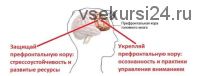 Курс Стресс. Осознанная стрессоустойчивость (Андрей Беловешкин)