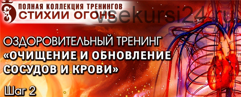 Стихия Огонь. Шаг №2 Очищение и обновление сосудов и крови. Тариф - Вип (Владимир Осипов)