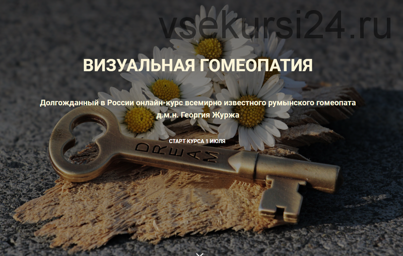 Визуальная гомеопатия. Тариф «1 занятие» (Георгий Журж)