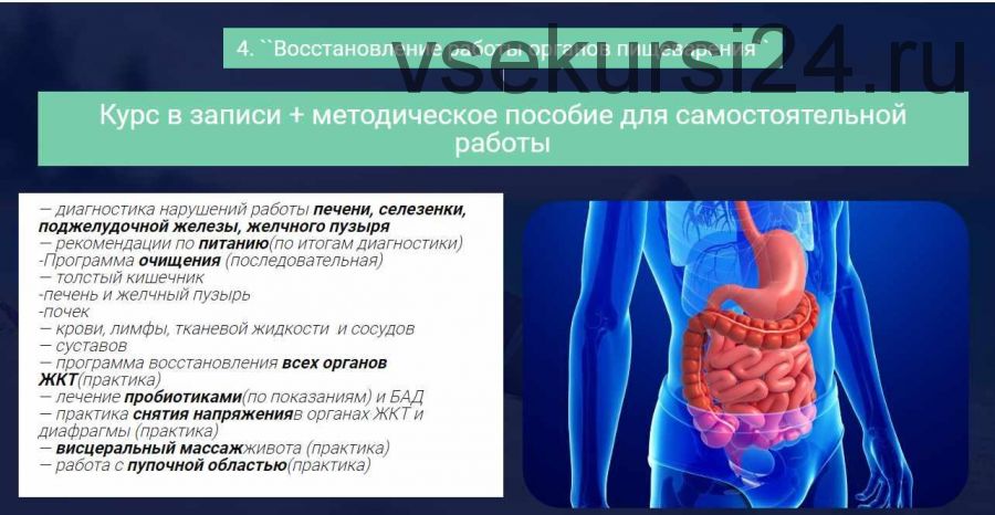 Восстановление работы органов пищеварения (Ольга Левонюк)