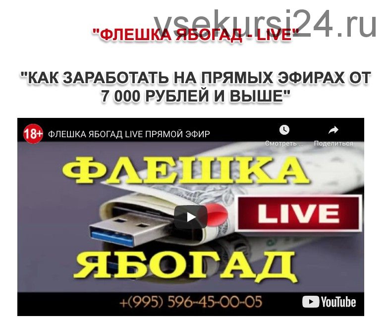 Флешка ябогад - LIVE. Базовый пакет (Александр Абесламидзе)