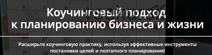 Коучинговый подход к планированию бизнеса и жизни (Лидия Радичи-Шпаковская)