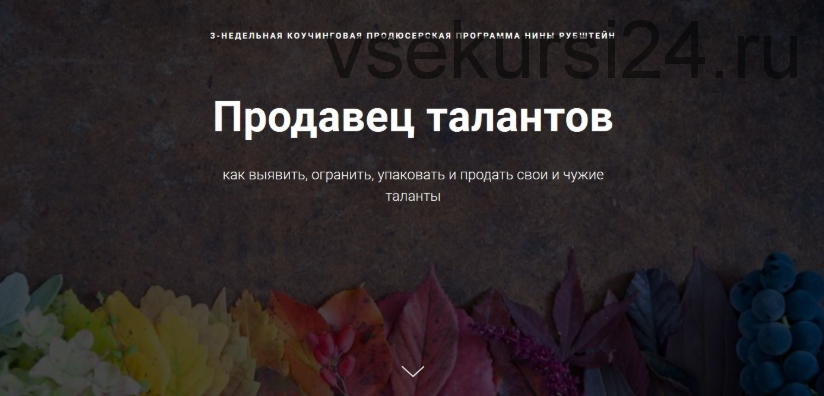 Продавец талантов как выявить, огранить, упаковать и продать свои и чужие таланты (Нина Рубштейн)