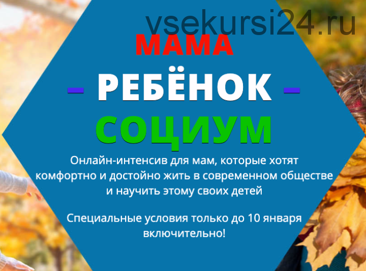 Мама-ребенок-социум (Екатерина Алексеева)