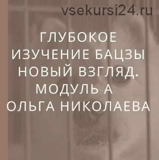 Глубокое изучение астрологии Ба Цзы. Новый взгляд. Модуль А (Ольга Николаева)