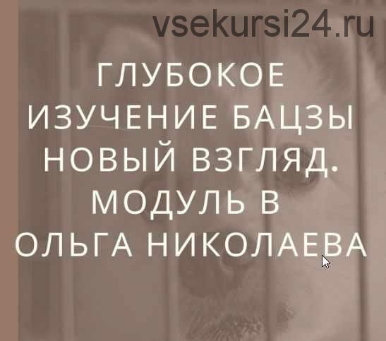 Глубокое изучение астрологии Ба Цзы. Новый взгляд. Модуль B [Ольга Николаева]