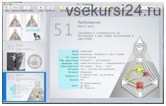 [Дизайн Человека] Курс «PTL I» месяц 4 (Виктор Крючков)