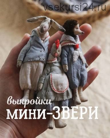 Школа маленьких зверей. Фазенда (Наталья Суранова)