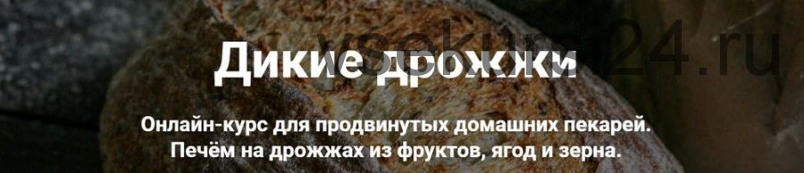 Дикие дрожжи (Ахмед Али-заде, Ольга Ткаченко)