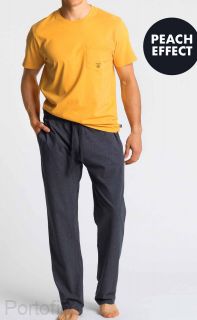 NMP-347 yellow