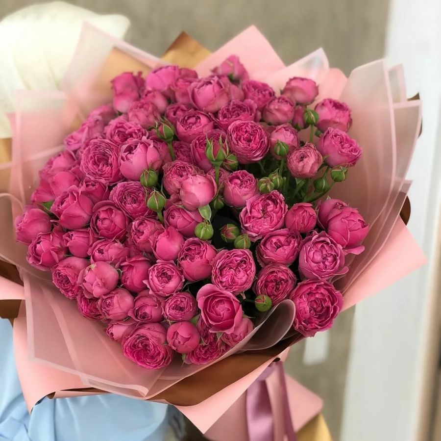 Кустовая пионовидная роза