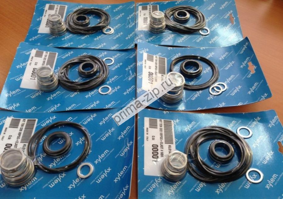 Ремкомплект Lowara KL01ACG KIT TEN D22 Q1BVGG+ELAST £ FPM